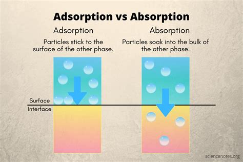 absorption 意味|absorbtion vs absorption.